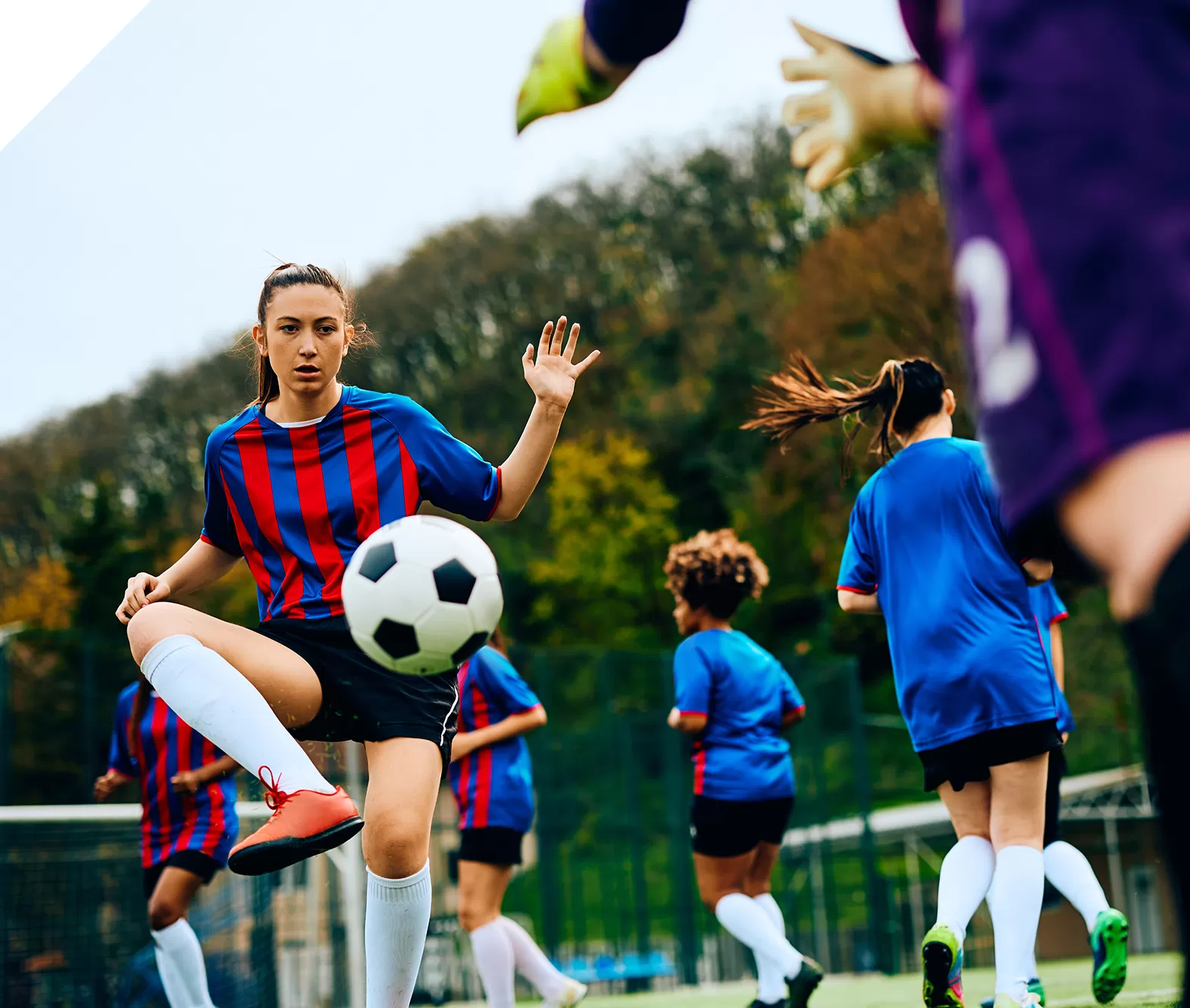 sports groups | transportation services sydney